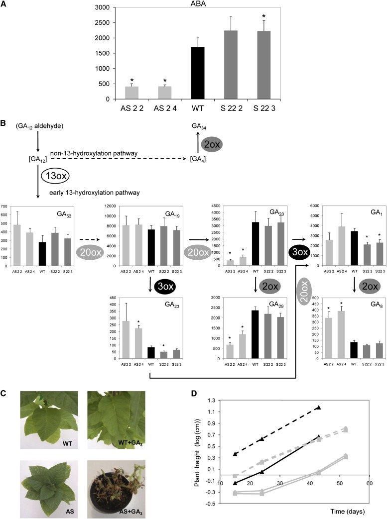 Figure 6.