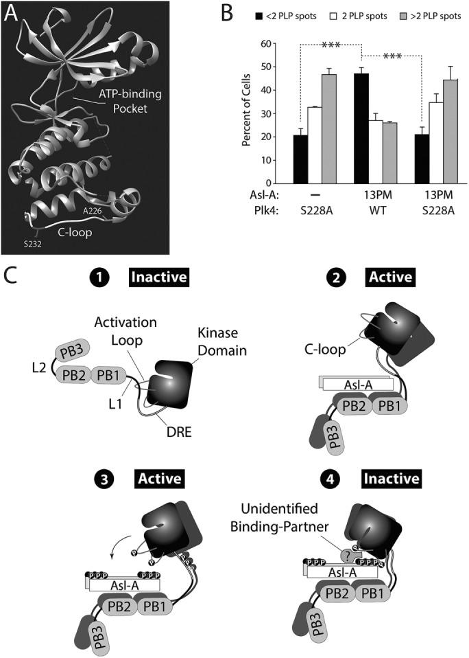 FIGURE 6: