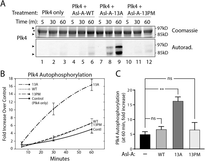 FIGURE 4: