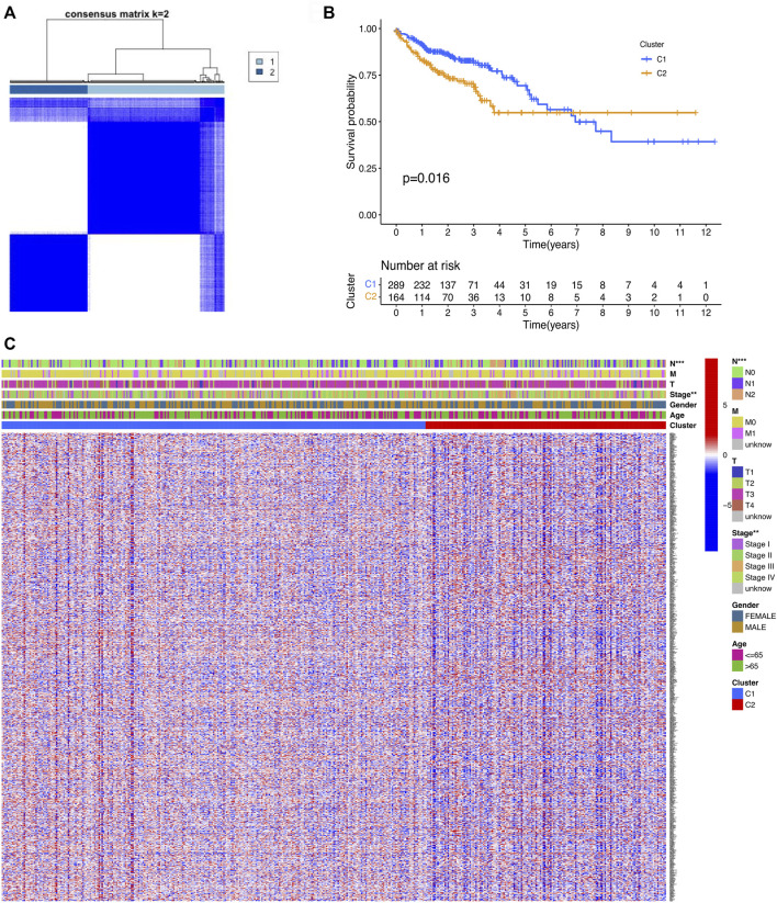 FIGURE 2