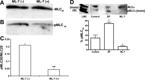 Fig. 8.