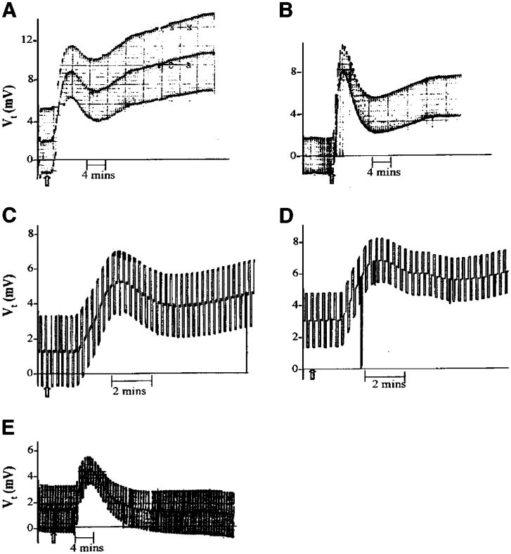 Fig. 8