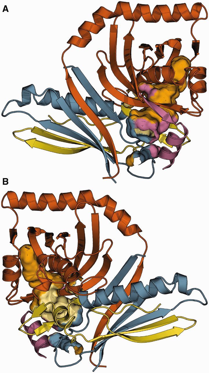 Fig. 6.—