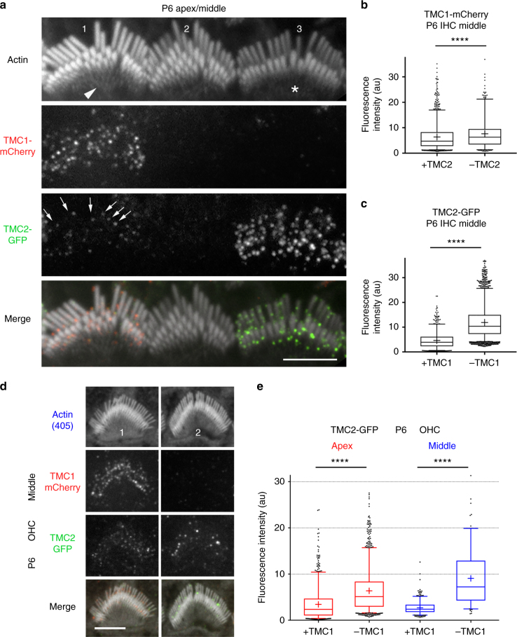 Fig. 9