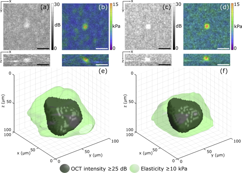 Fig. 3.