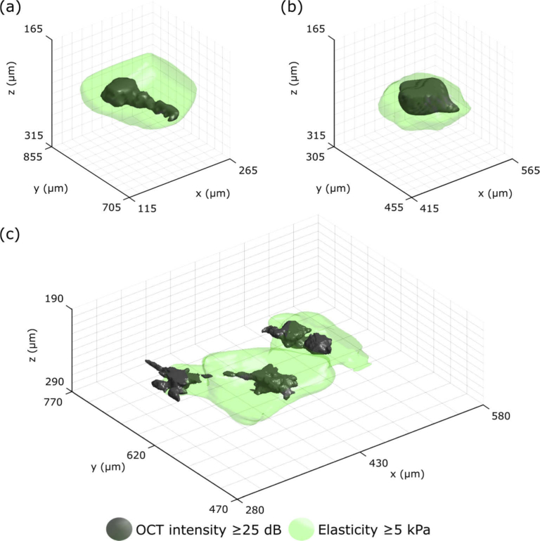 Fig. 7.