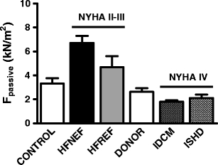 Fig. 4