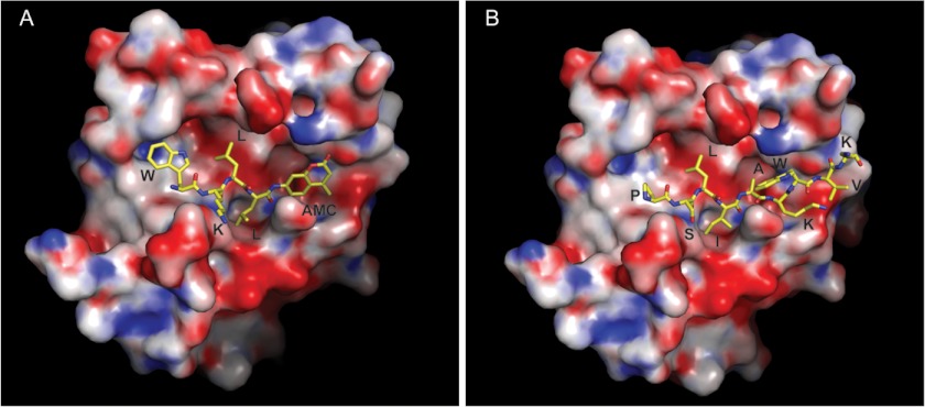 FIGURE 5.