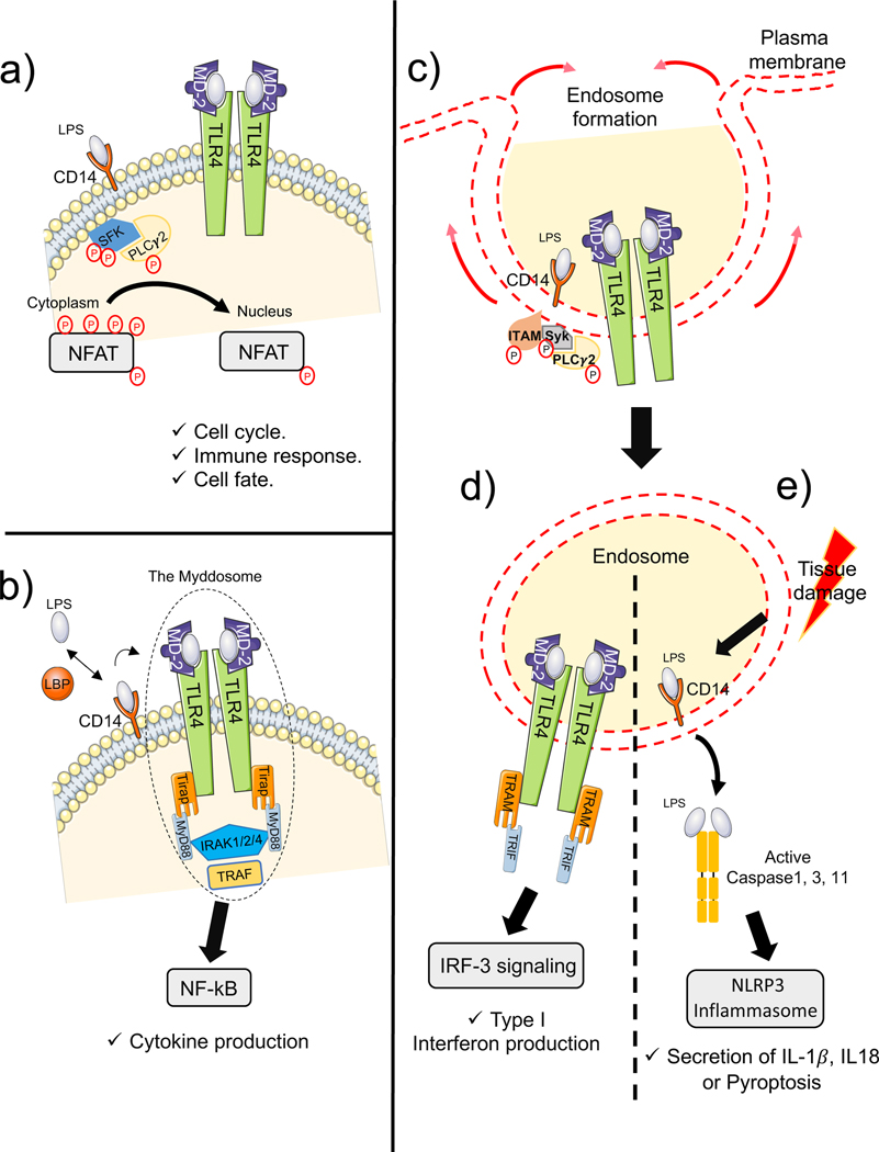 Figure1: