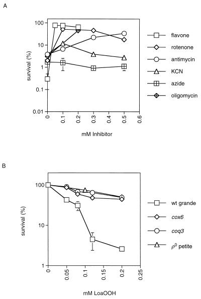 FIG. 6