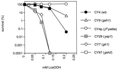 FIG. 5