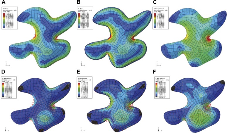 Figure 2—figure supplement 2.