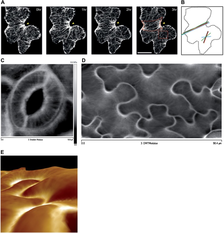 Figure 1.