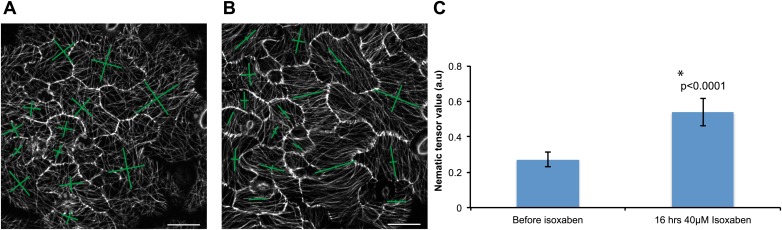 Figure 4—figure supplement 2.