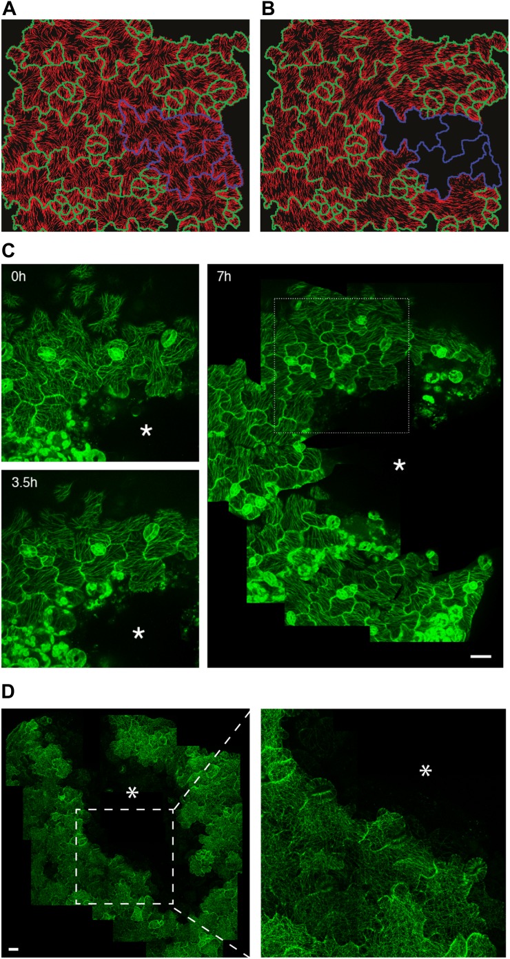 Figure 3.