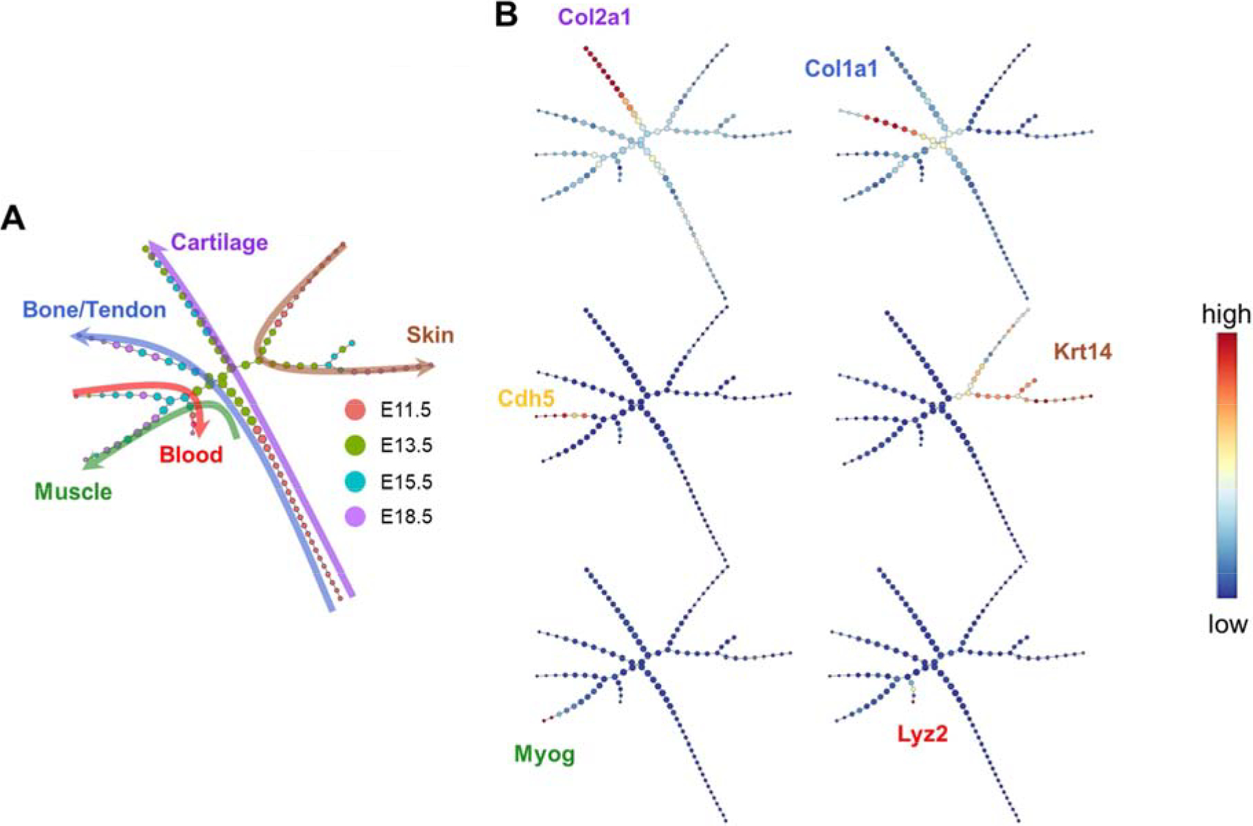 Fig. 3.