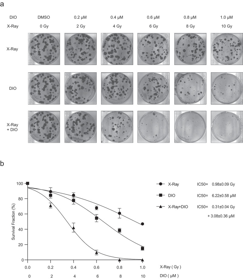 Figure 4.