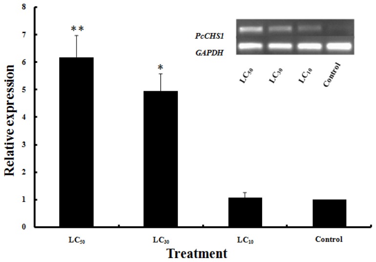 Figure 5.