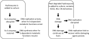 FIG 6