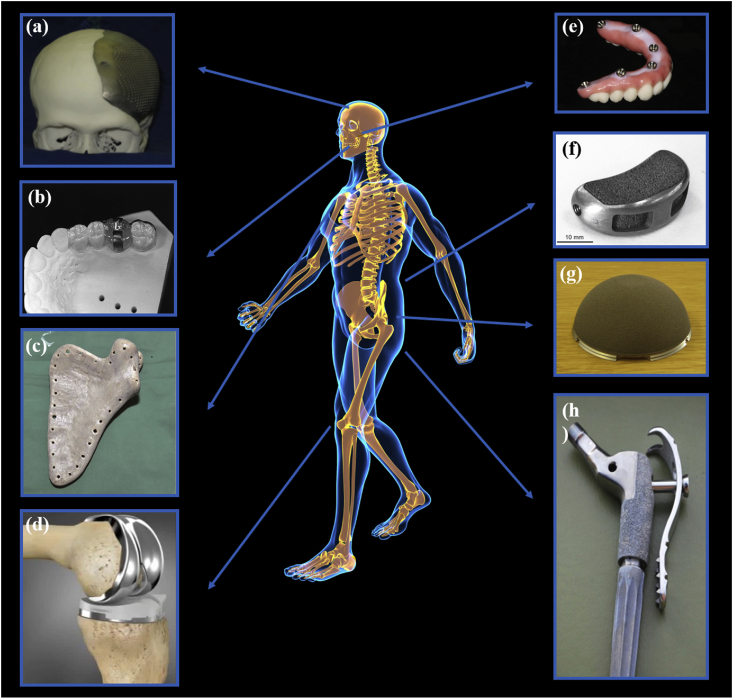 Fig. 1