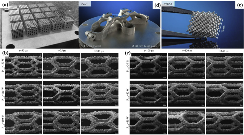 Fig. 7