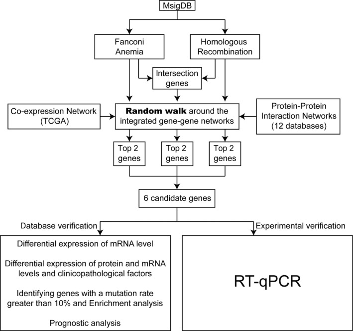 FIGURE 1