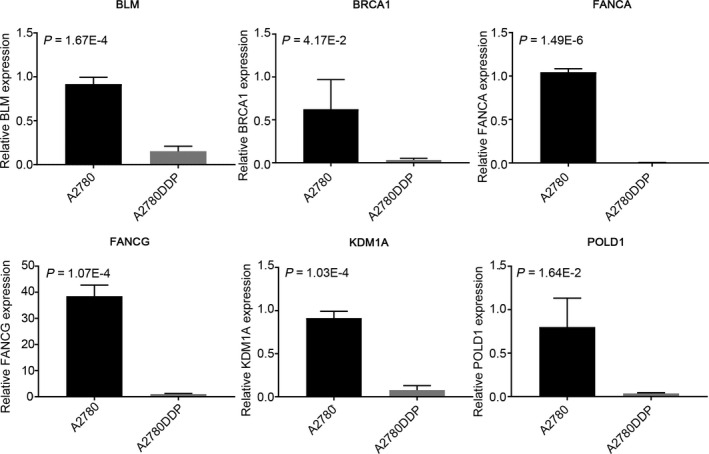 FIGURE 6