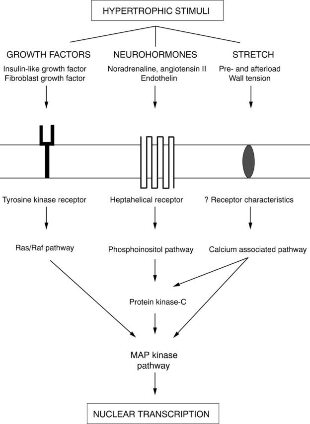 Figure 2  