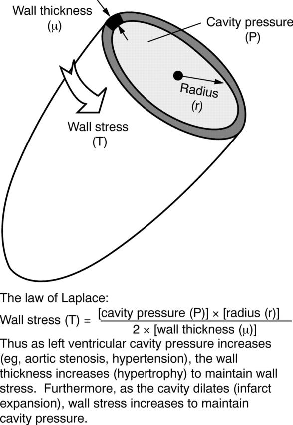 Figure 1  