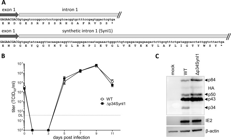 FIG 3