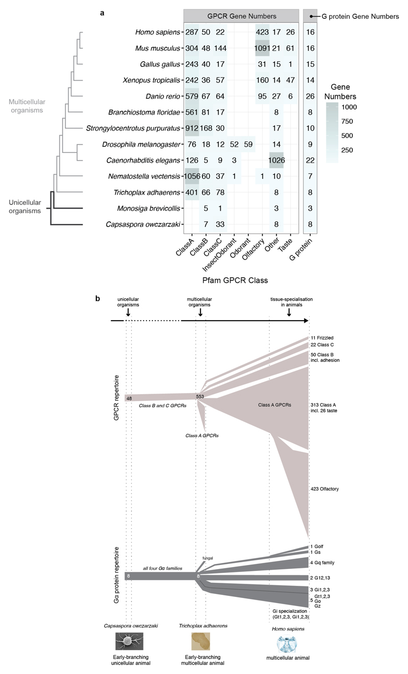 Extended Data Figure 3