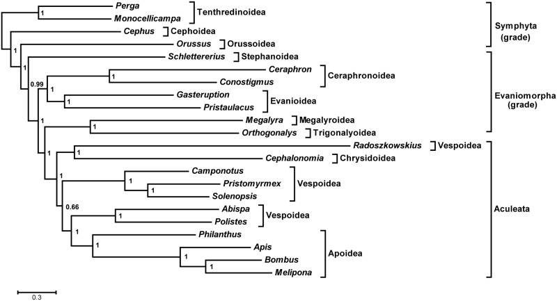 Fig. 7.—