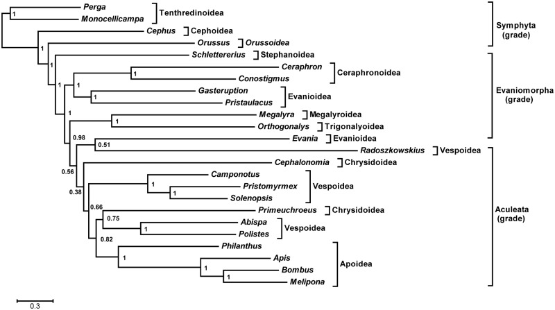 Fig. 6.—