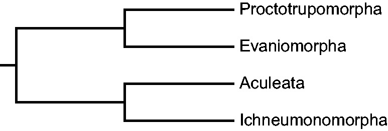 Fig. 1.—