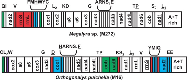 Fig. 5.—