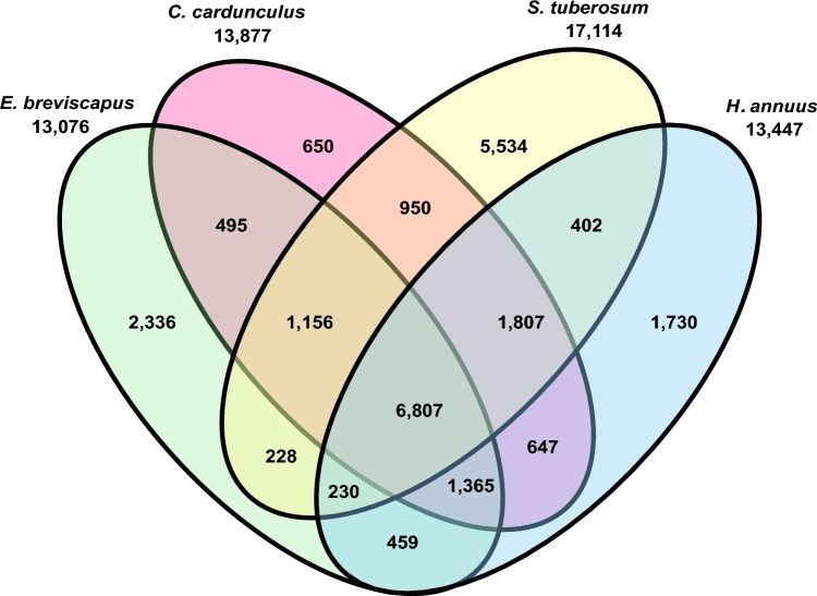 Figure 3: