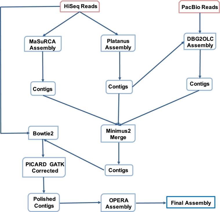 Figure 2: