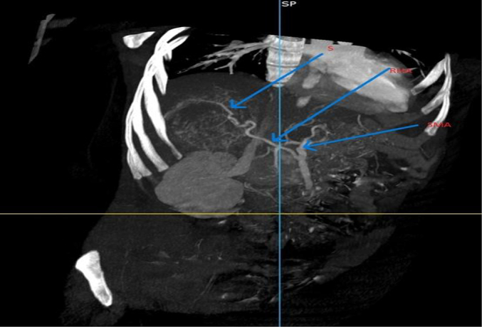 Fig. 7