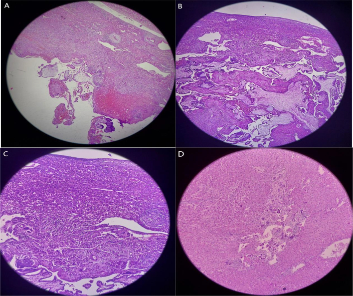 Fig. 8