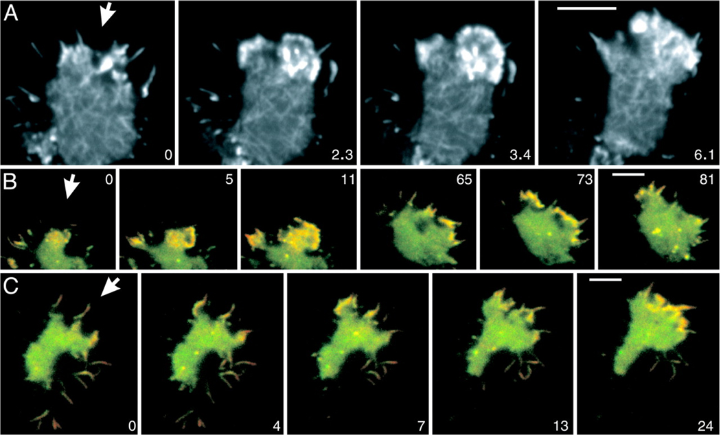 Fig. 4