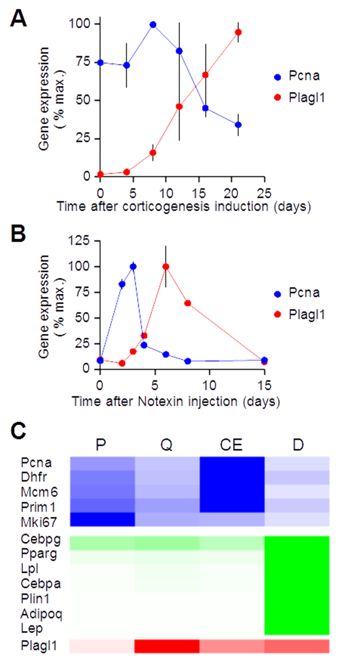 Figure 2.