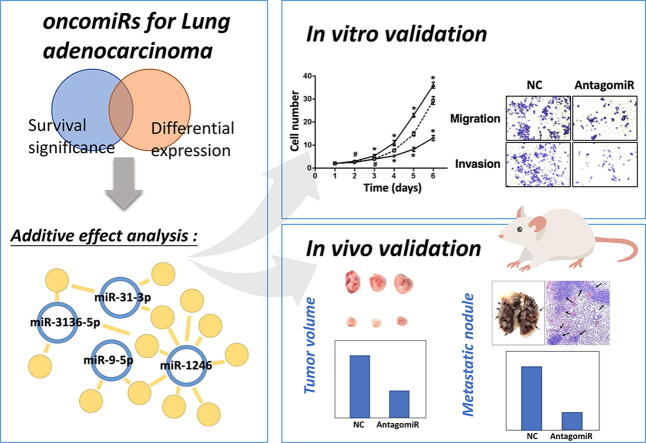 graphic file with name ga1.jpg