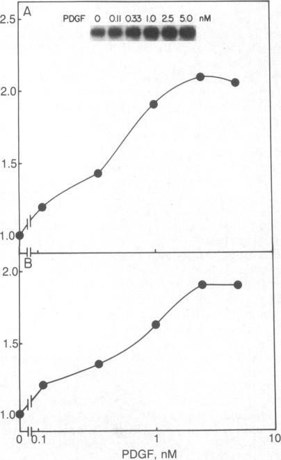 graphic file with name pnas00322-0102-c.jpg