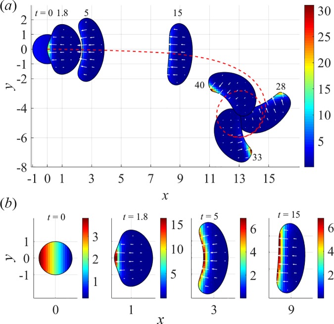 Fig 6