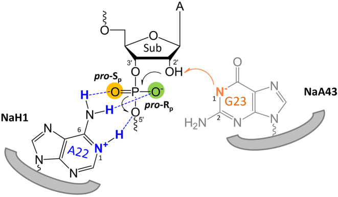 Figure 7.