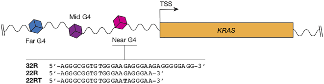 Scheme 1.