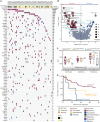 Figure 4. Integration of genomic alterations with drug sensitivity. A, Mosaic
plot showing the mutational landscape of 52 pediatric patients with AML. The earliest
specimen was included for analyses for individuals with consecutive sampling. Recurrent
mutations occurring in ≥2 patients are shown and ranked by their frequencies in the
cohort illustrated by the bar chart. Patients are annotated with clinical features and
mutations with types. Asterisks mark pathogenic or likely pathogenic variants. B,
Gene–drug associations represented by a volcano plot showing their significance and
effects between wild-type and mutant samples. Pathogenic or likely pathogenic variants
with VAF >10% were included for the analysis. A P value cutoff of 0.05 (horizontal
line) was applied to detect statistically significant associations. A Z score cutoff of
0 (vertical line) defines relative drug sensitivity (red circles) and resistance (blue
circles). The size of circles represents the number of patients harboring the mutations.
Circles annotated with green and black texts denote known and novel associations,
respectively. C, Box plots showing the activities of BCL-2 inhibitors in pediatric AML
stratified by KMT2C mutation status: wild-type (n = 29–35), benign or likely benign
mutants (n = 8), pathogenic or likely pathogenic mutants (n = 3–4). Median IC50 values
are shown. D, Kaplan–Meier estimates of 3-year event-free survival (period from
diagnosis to first relapse or death from any cause) in patients with wild-type (n = 40),
benign (n = 8), and pathogenic KMT2C (n = 4). Statistics: B, one-way ANOVA; C,
two-tailed, unpaired Student t test with correction for multiple comparison by the
Benjamini–Hochberg method; D, log-rank test. *, P < 0.05; **, P < 0.01.