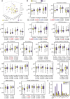Figure 2. Drug-sensitivity profiles of pediatric and adult AML. A, PCA of the
response parameter (i.e., AUC values of 45 drugs) in pediatric (n = 42) and adult AML (n
= 26) samples. B, Boxplots showing the AUC distributions of individual drugs, ordered by
drug classes. Statistics: two-tailed, unpaired Student t test. P values comparing both
AUCs and IC50 values are indicated. Statistically significant values are shown in red.
Asterisks mark statistically significant differences after correction for multiple
comparison by the Benjamini–Hochberg procedure, with P values after FDR correction shown
in blue. C, Fraction of pediatric (n = 52) and adult (n = 26) samples with major genetic
alterations detected by targeted sequencing.