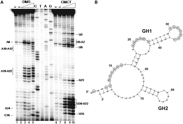 Figure 5.