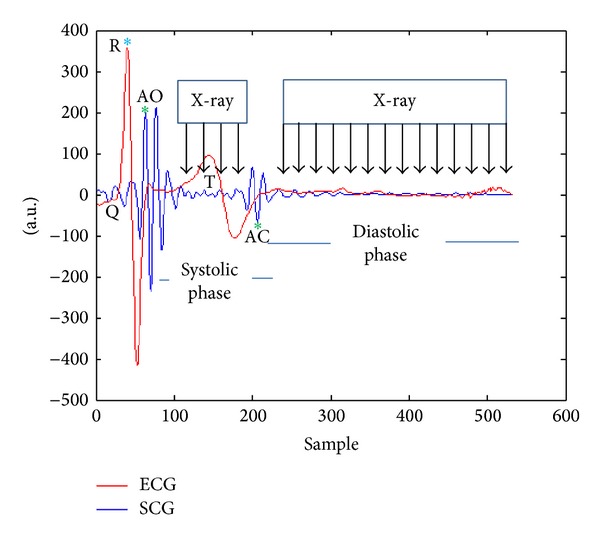 Figure 12